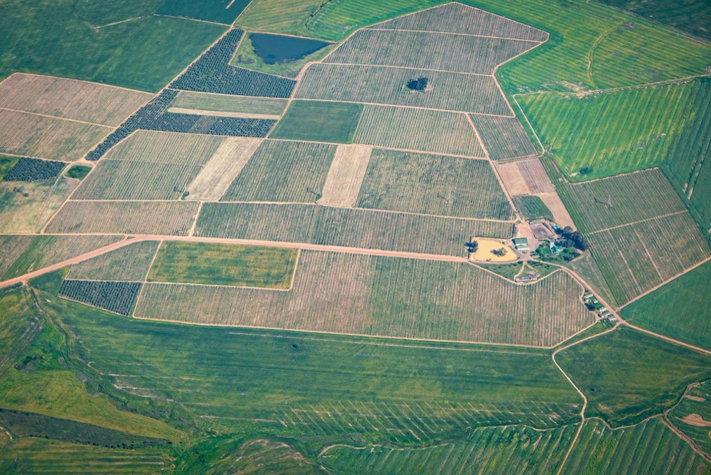 How AI Predicts Crop Yields from Satellite Imagery to Strengthen Food Security — Omdena Case Study