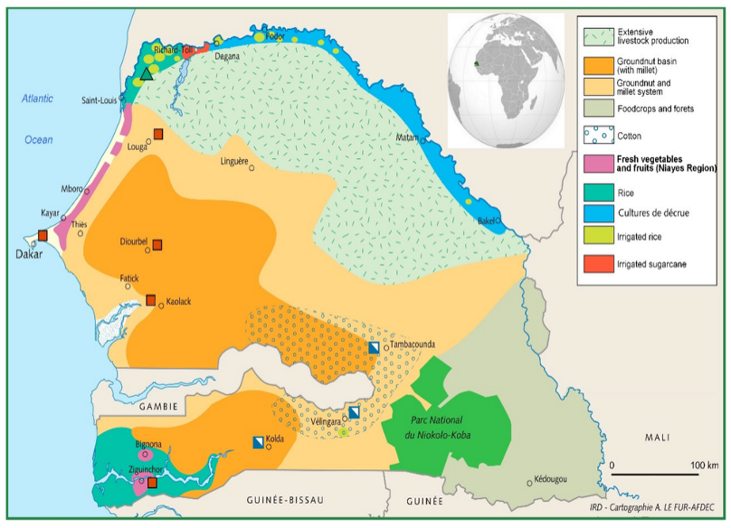 Figure 1: Agricultural production zones across Senegal. Crop types and growing systems vary significantly by region — from the groundnut basin of the centre-west to rice cultivation along the northern river plains — shaping which satellite signals are most predictive for each district.
