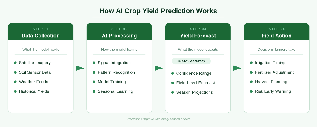 AI Crop Yield Prediction Works: Process.