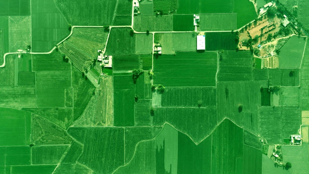 Aerial view of agricultural farmland showing the field-level data that satellite imagery provides to AI yield prediction models.