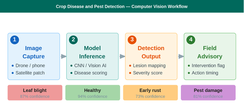 Computer vision pipeline for crop disease detection: image capture through field alert, with confidence-scored outputs per disease class.