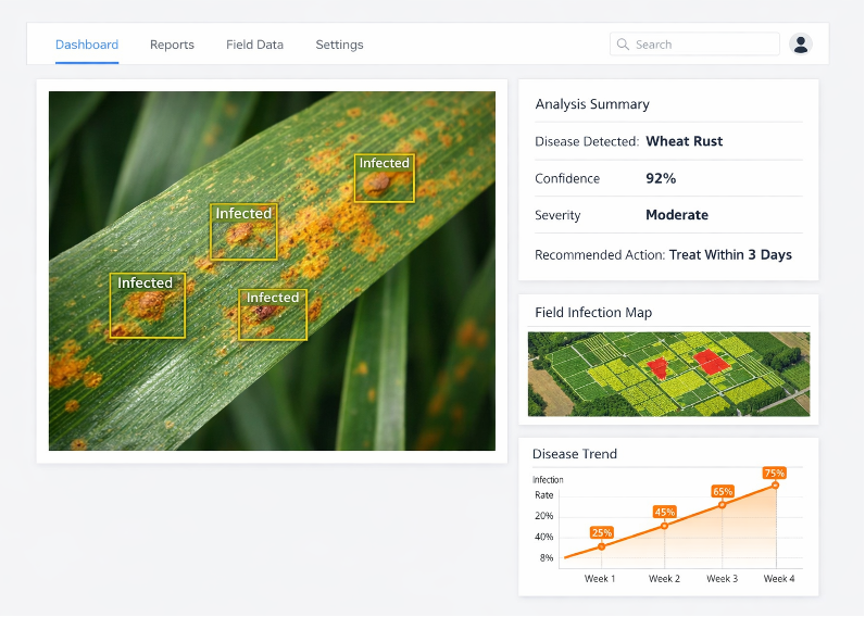 Computer vision model trained on field imagery to detect and classify wheat leaf disease, with outputs structured for agronomist review. Image: Omdena.