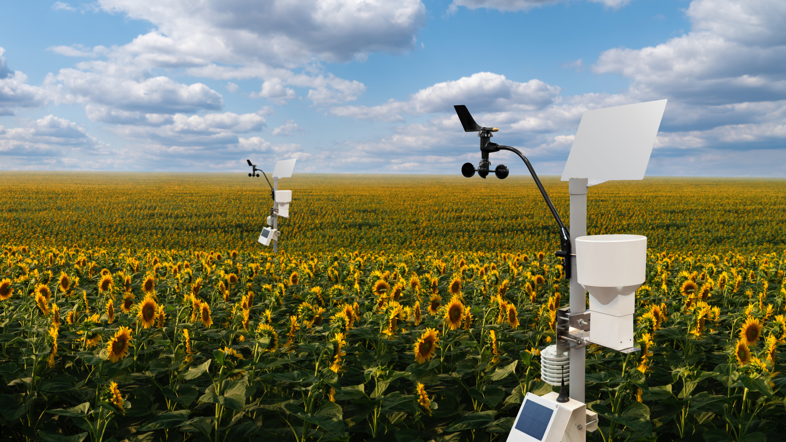 Smart field sensors continuously monitor soil and environmental conditions, enabling real-time carbon tracking and data-driven farming decisions. 