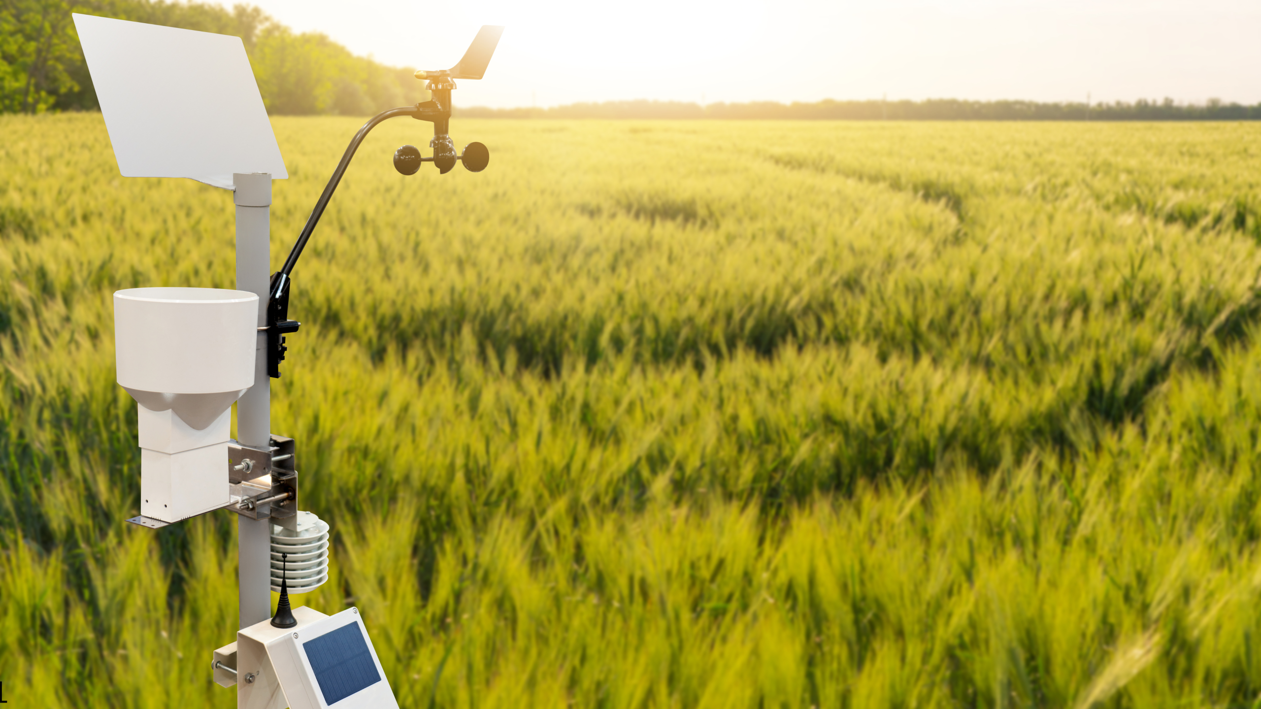 On-farm weather stations collect real-time, field-level data to support better farming decisions. 