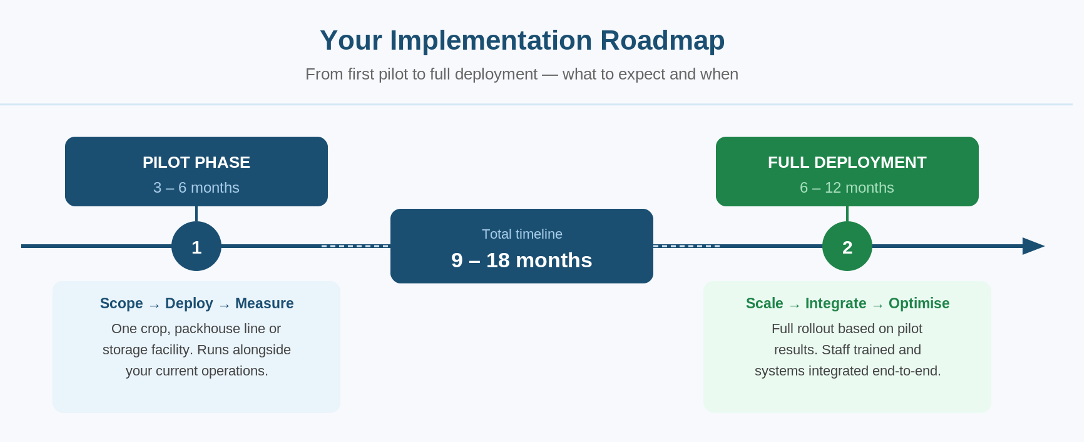 Implementation Roadmap: Costs, Timelines, and How to Start Right