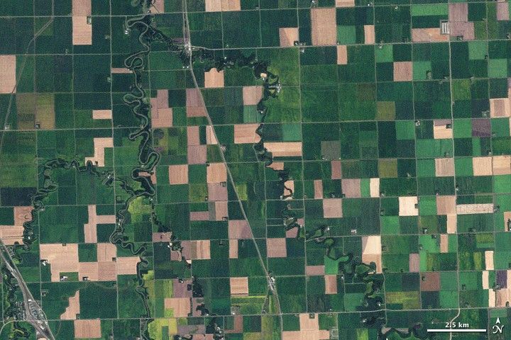 NASA Landsat image of Minnesota farmland. Green and tan field variations are the same signals AI models analyse to estimate soil carbon at scale.
