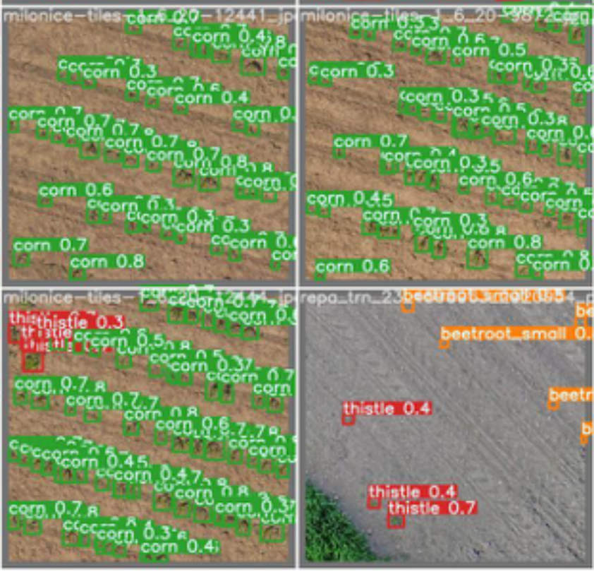 AI models detect weeds and crops in aerial imagery, enabling precise, targeted spraying rather than blanket herbicide application.