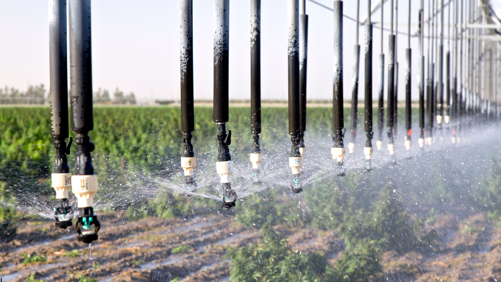 Smart irrigation systems for automated, efficient water management in precision agriculture.