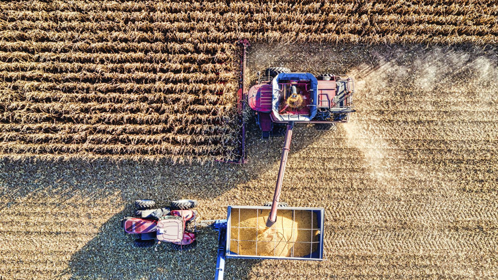 GPS-guided equipment ensures precise field operations and reduced overlap.