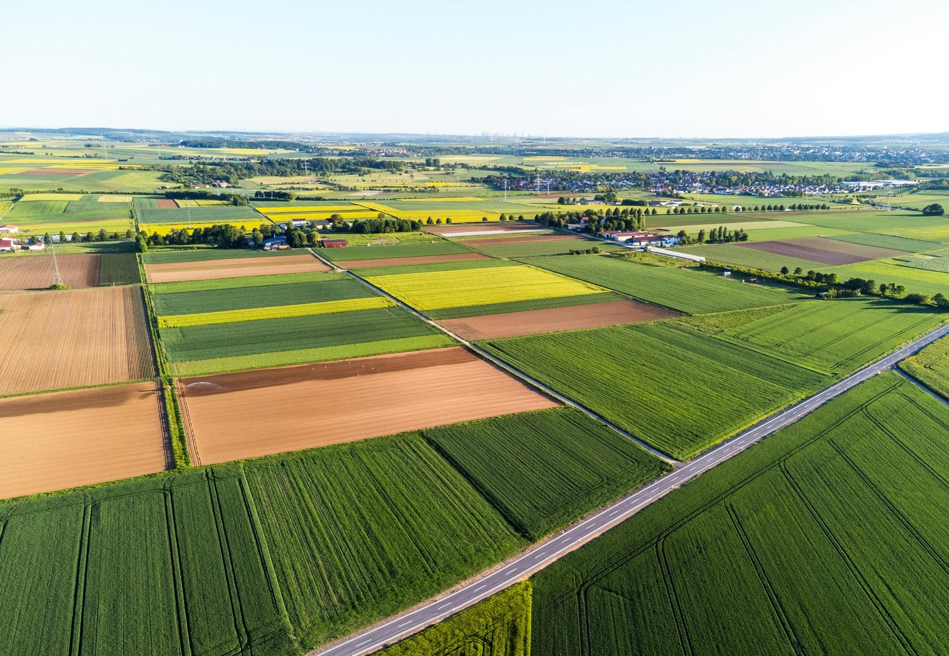 article featured image