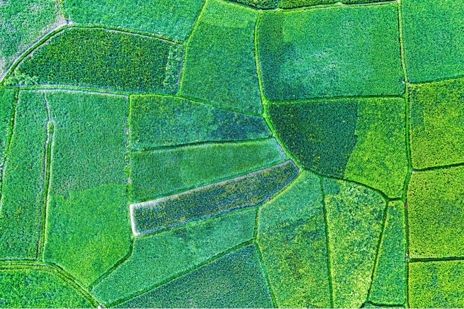 article featured image