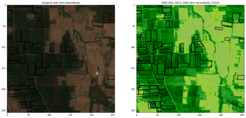 Figure 1: Satellite imagery with ground-truth field boundary overlays across two study districts. Field size variation and irregular plot shapes were core challenges in training the segmentation model.