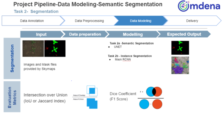 The semantic segmentation pipeline: image tiles are fed through U-Net EfficientNet for per-pixel classification and Mask R-CNN for instance-level segmentation. Outputs are stitched into field-scale infestation maps.