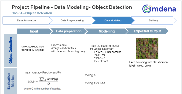 The object detection pipeline: raw drone imagery is preprocessed and tiled, passed through three detector architectures (YOLOv4, Faster R-CNN, YOLOv5), and outputs bounding-box predictions per class with confidence scores.