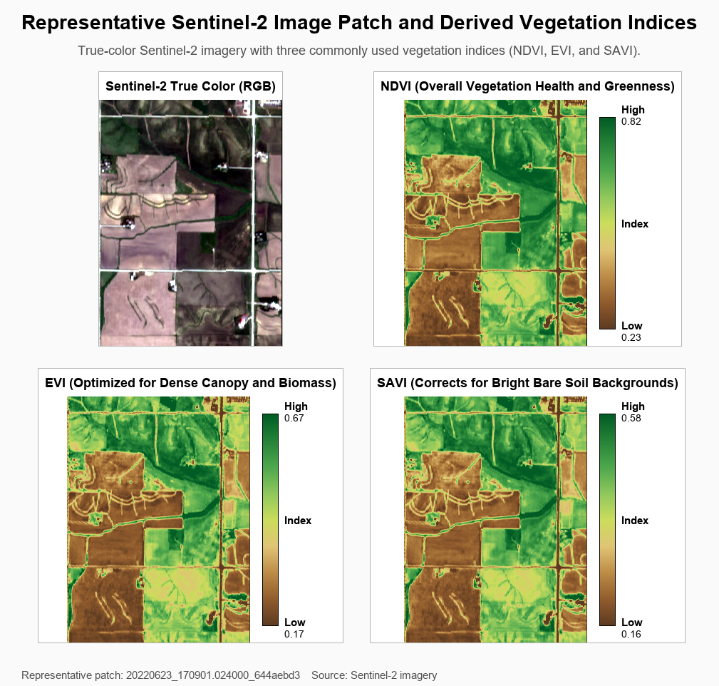 Terraced farming contours visible from Sentinel-2