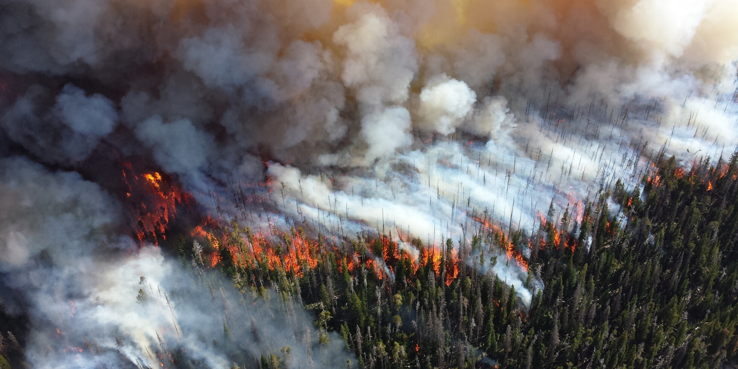 Aerial view of wildfire spreading across Brazilian forest — smoke and flames visible at scale. Source: Omdena